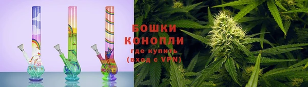 гидропоника Алзамай