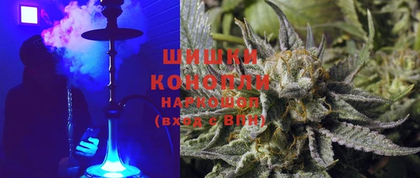 гидропоника Алзамай