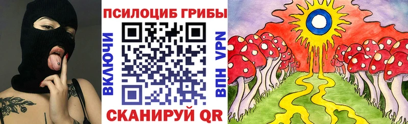 дарнет шоп  Нижний Тагил  Галлюциногенные грибы Psilocybe 